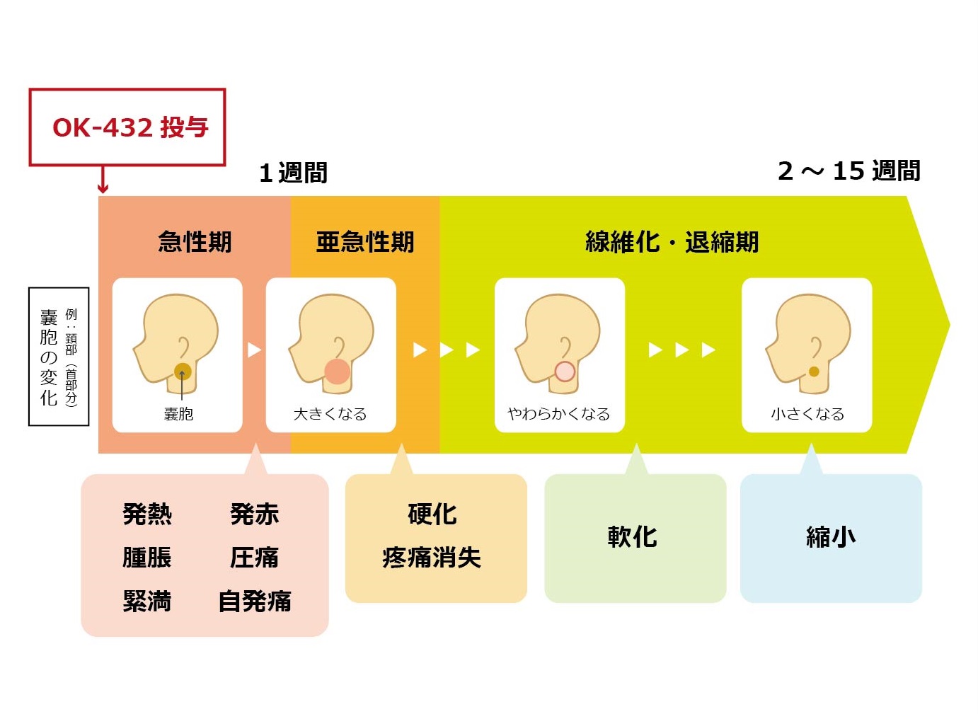 リンパ管腫について｜リンパ管疾患情報ステーション