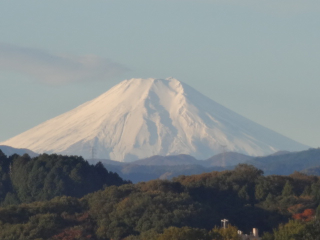 料金5,700円～】ビジネスホテルおがわを格安予約｜おすすめプラン比較 - BIGLOBE旅行