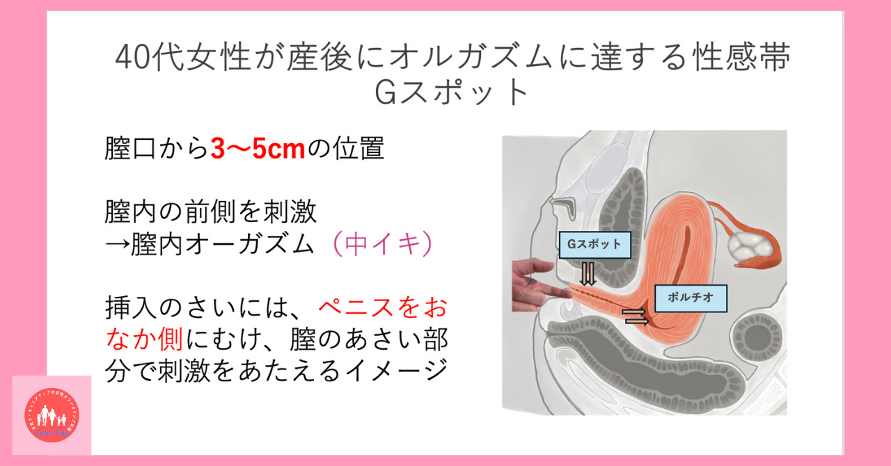 ファーストバイブ 膣トレ Gスポット開発 ◇ |