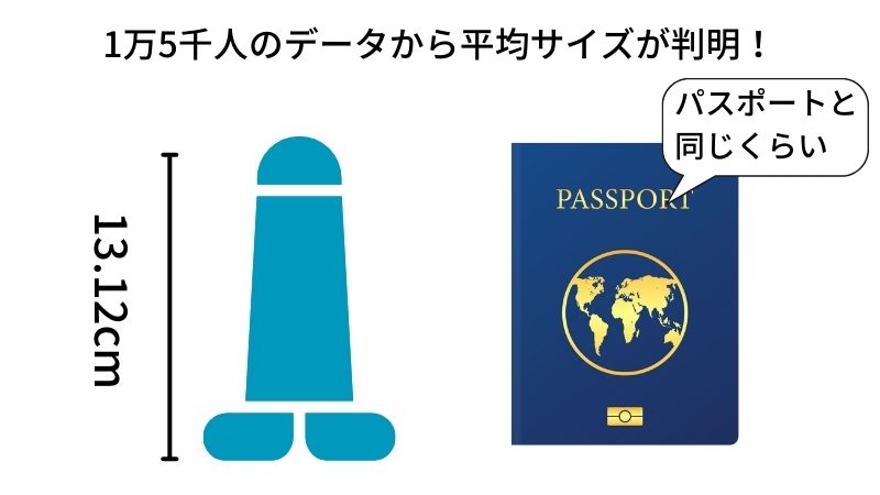 女性はペニスの長さが13.5で太さ3.3くらいが理想で1番気持ちいいんです- その他（性の悩み） | 教えて!goo