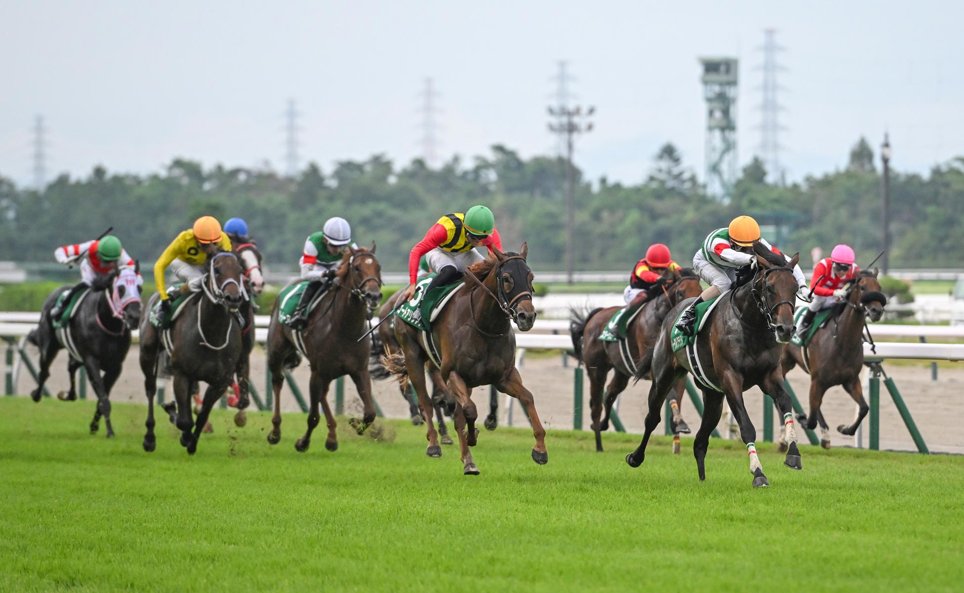 第44回 新潟２歳Ｓ 回顧 | 競馬