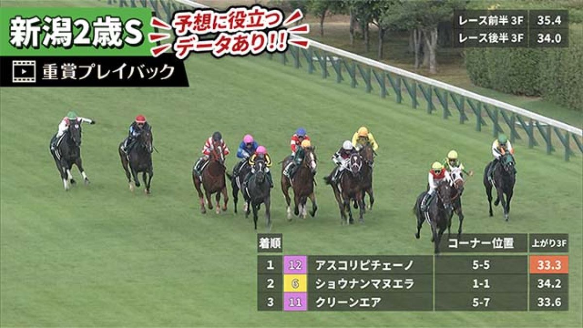 POG的レース回顧録 ～ 新潟2歳ステークス