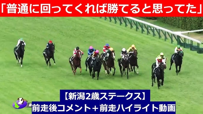 新潟２歳Ｓ結果＆コメント】バゴ産駒トータルクラリティが叩き合いを制す 北村友「しぶとさを生かすために自分で動いていき、馬も応えてくれました」 | 