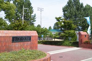 Cコース | 滝川第二高等学校・中学校