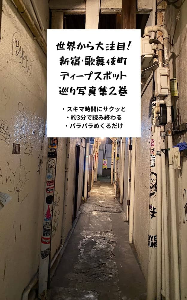 歌舞伎町の新旧が交差する。ディープな路地裏「思い出の抜け道」探訪 - MASH