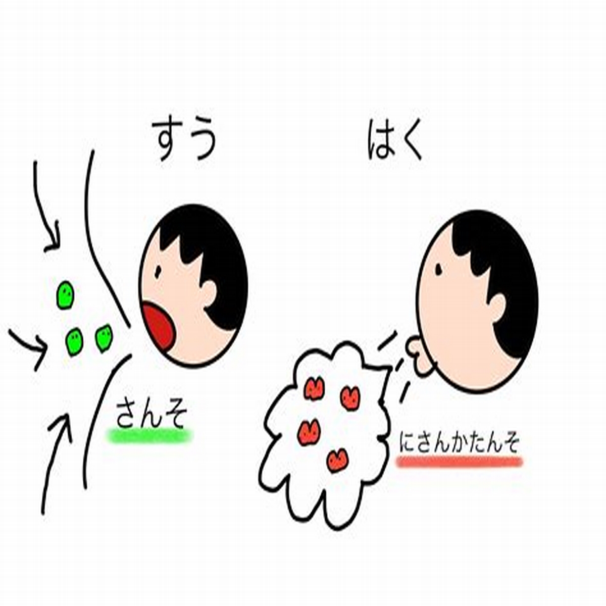 【可愛い】京橋でピンサロのおすすめランキング13選！抜き＆本番は？｜【KANSAI】ヤバいとこ案内