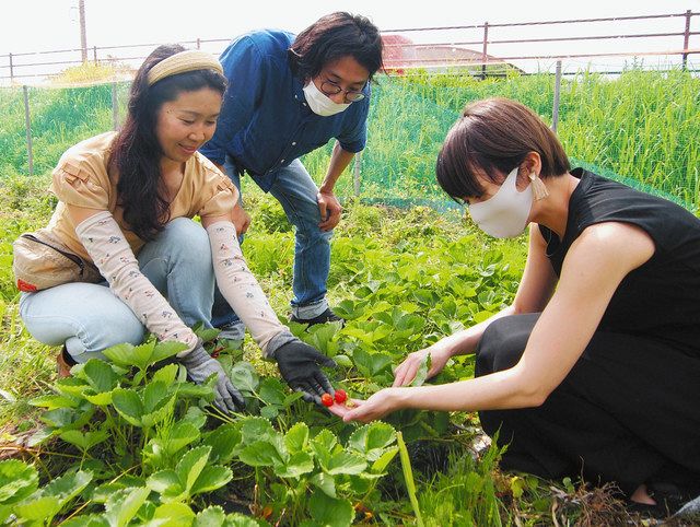 ストロベリー着物レンタル | 成人式ヘアセット💐アラカルトpart2 今年もどんなヘアをご提案出来るかとっても楽しみです^ ^