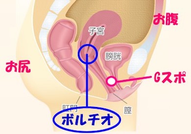 Gスポット注射｜銀座の美容外科・皮膚科ならルーチェクリニック