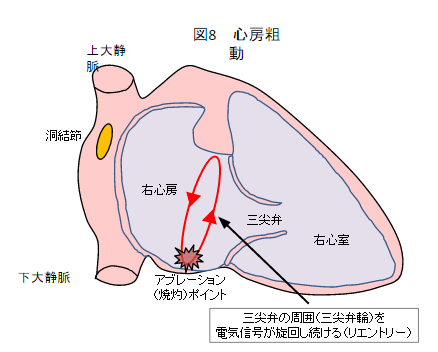 前立腺の病気 - 茨城県鹿嶋市 │ 医療法人正友会