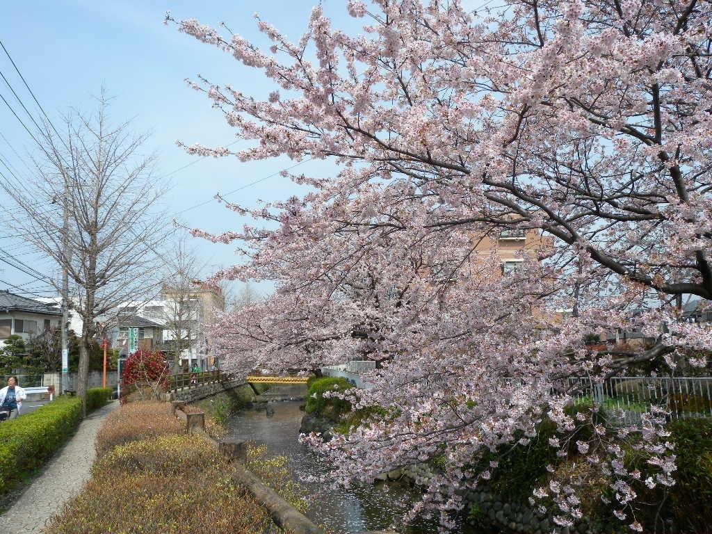 登戸駅（神奈川県）、乳腺炎のクリニック・病院一覧｜ドクターズ・ファイル