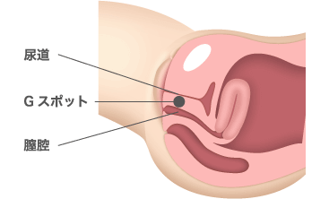 すぽっと・てらこや