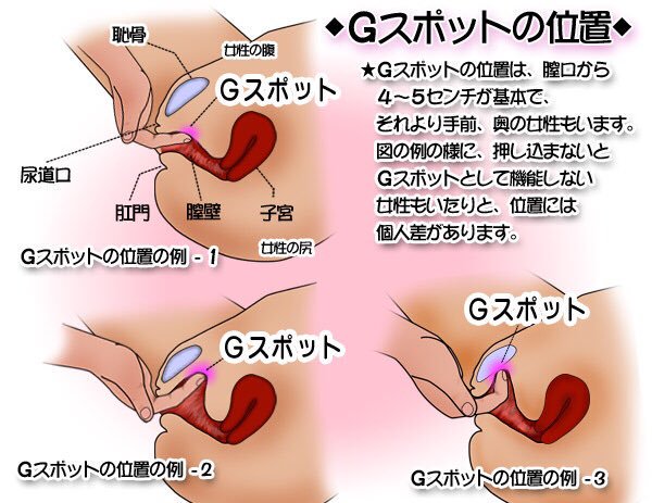 中イキ・奥イキの科学：女性を中イキさせるためのテクニック – メンズ形成外科 |