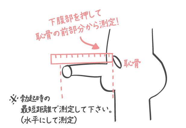 短小包茎とは！短小は何センチから？日本人の平均サイズや治療法 - アトムクリニック -