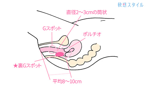 【彼女がアナルセックスを好きなワケ】性交痛外来 女医が教える ～性癖を支配する～