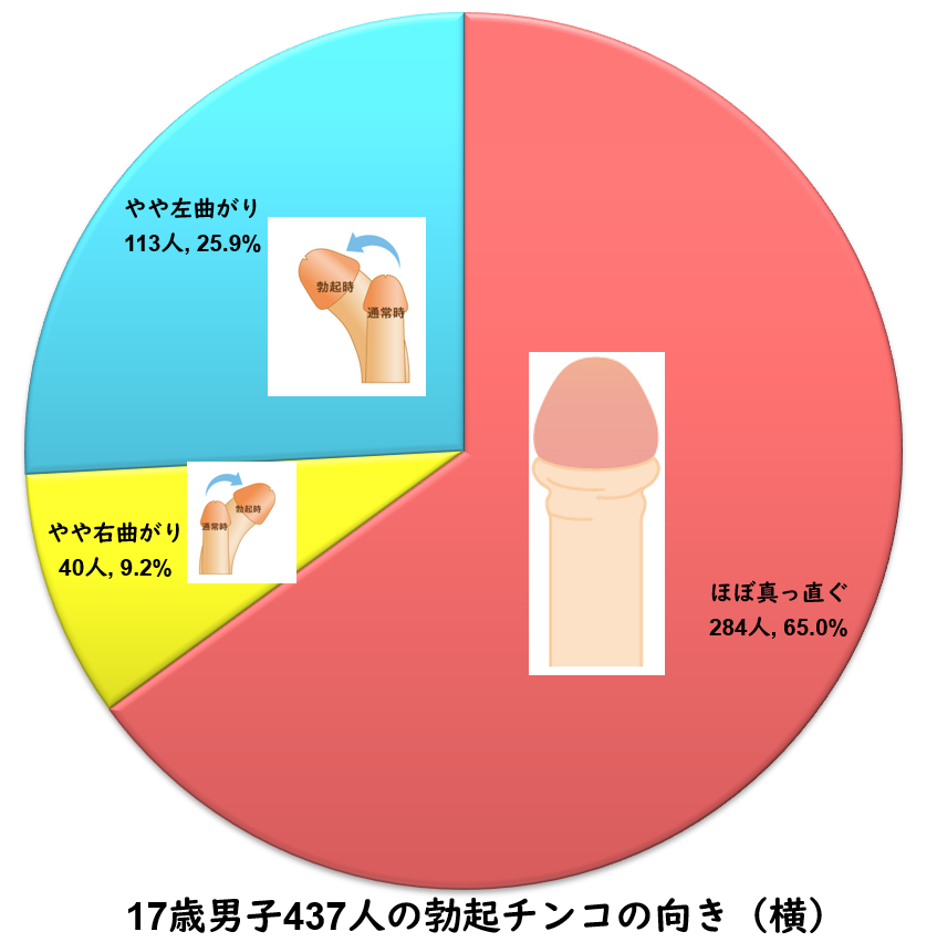 17歳男子580人のチンコの皮の剥け具合・向き・亀頭の色 | 中学生・高校生のチンコとセックスの調査