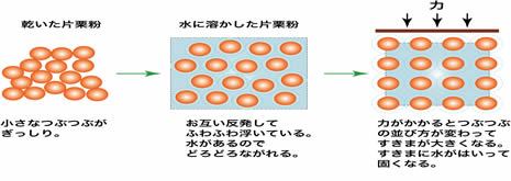 膣なら(ちなら)とは？膣から空気が出る原因や改善の解説 | コラム一覧｜