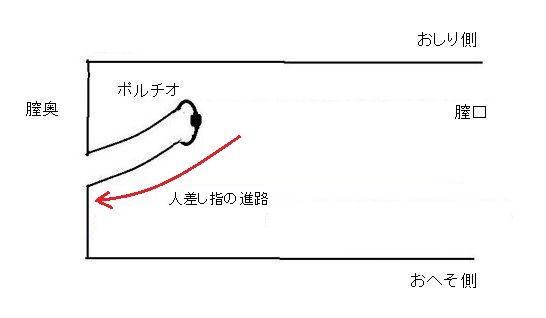 体外式ポルチオとは？腹イキ開発マッサージのやり方・イキ方を解説