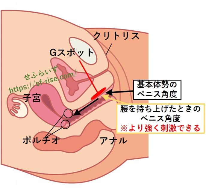 正常位では女性の足の位置で気持ちよさが変化する！おすすめのバリエーションを8つ紹介