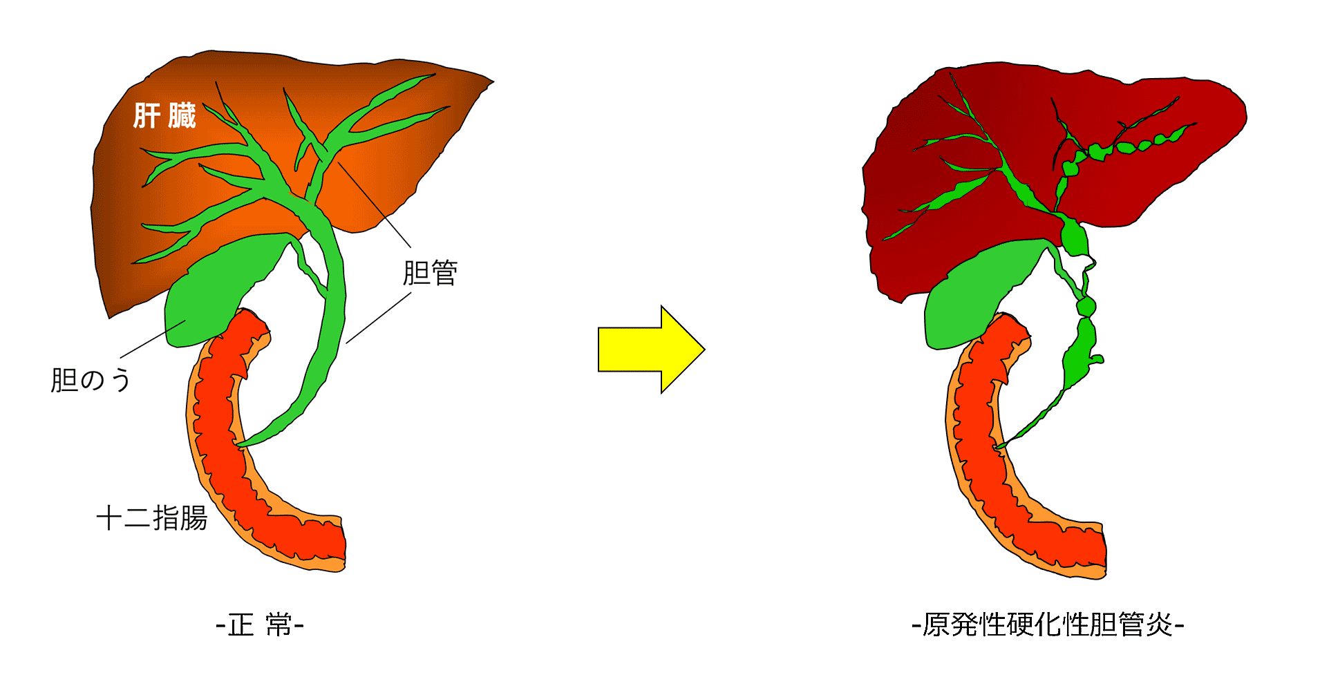 一般皮膚科｜蕨市の多恵皮ふ科｜蕨駅 戸田駅 湿疹