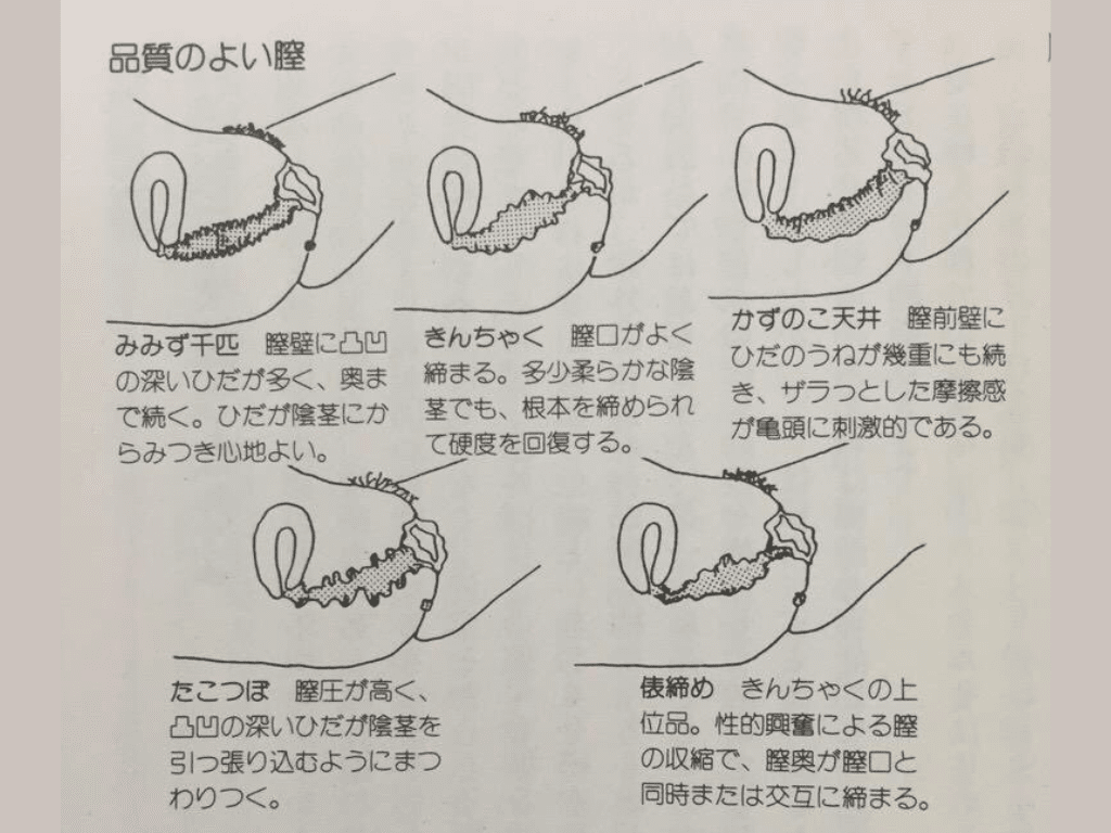 イヤフォン推奨回#61】6000人に聞いた！女性の「名器」とは？｜kindle本34冊／あげ妻