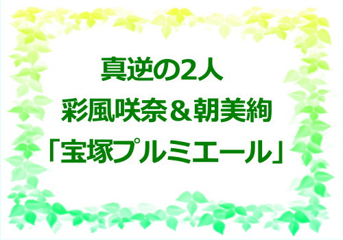 彩風咲奈の八重歯はどこにいった？父親や性格も気になる！【イケメンでスタイルも良すぎる！】