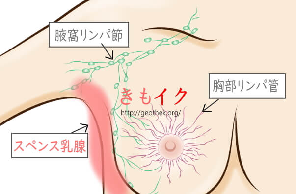 乳首だけでイクためにできる乳首開発の方法を伝授！乳首イキってこんなに気持ちいい！ | Trip-Partner[トリップパートナー]