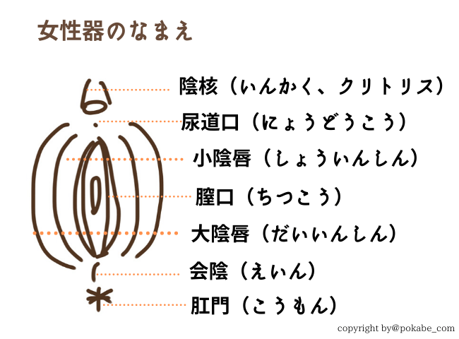 ふたりエッチ】セックス初心者同士でも愛さえあればOKだよね❤初々しく感じて絶頂してる～！ - エロアニメタレスト