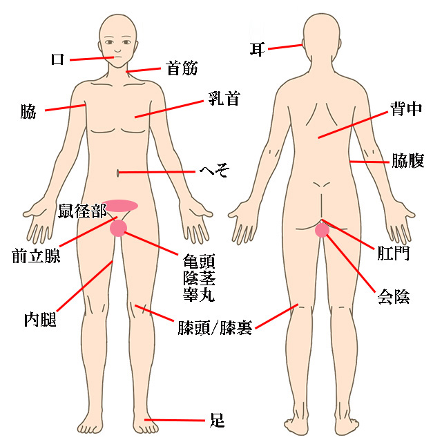 男には18個の性感帯があるって知ってた？【性感帯マップ付き】｜BLニュース ちるちる