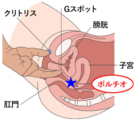 ガシマン』とは？激しい手マンを交わす方法と予防策を徹底解説！ | はじ風ブログ