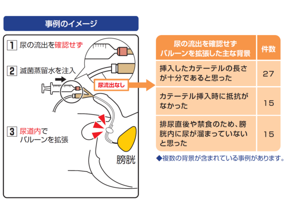 チンチラの尿道結石 | もねペットクリニック