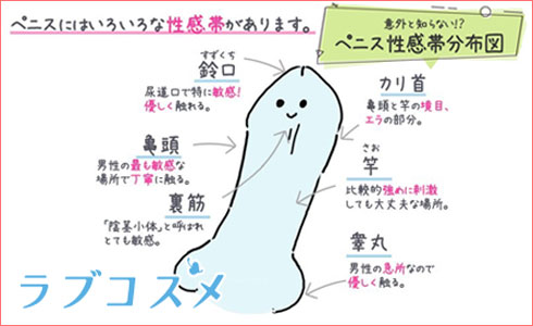 指名が激増】男性を虜にさせる！思わず喘ぎ声が出る基本的なフェラのコツ～基礎から応用編～│【風俗求人】デリヘルの高収入求人や風俗コラムなど総合情報サイト  | デリ活～マッチングデリヘル～