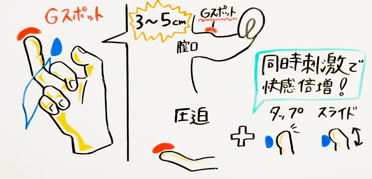 手マン・挿入でGスポットで中イキさせる方法【図解・動画】 | セクテクサイト