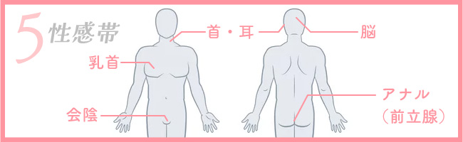 前立腺責めのやり方とコツ！気持ちいい前立腺マッサージの方法をイラストで解説