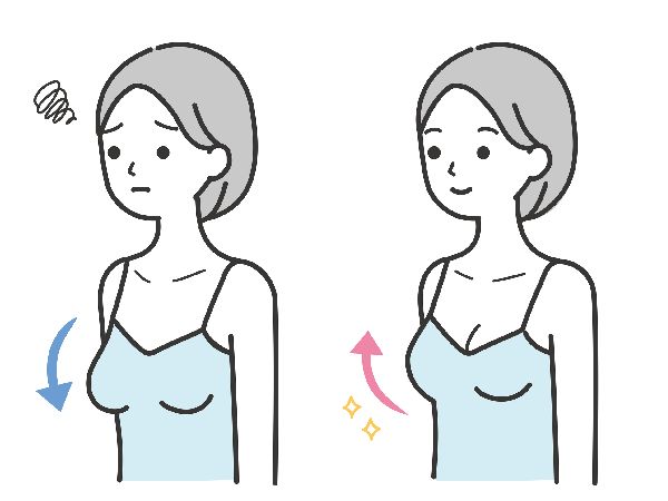 それ、偽者でしょ？ 女性の「バストサイズ」を見抜く6つのポイント - ECナビ