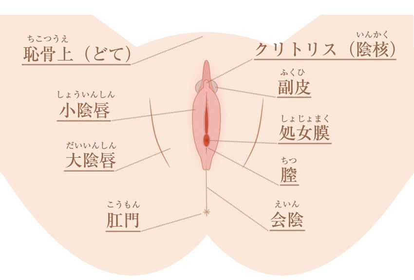 手マン・挿入でGスポットで中イキさせる方法【図解・動画】 | セクテクサイト