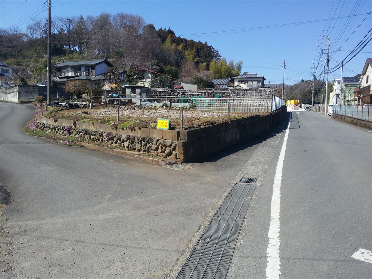 中野陸斗 | 厚木市上荻野 大平登山口にある ミツマタ桃源郷へ💨