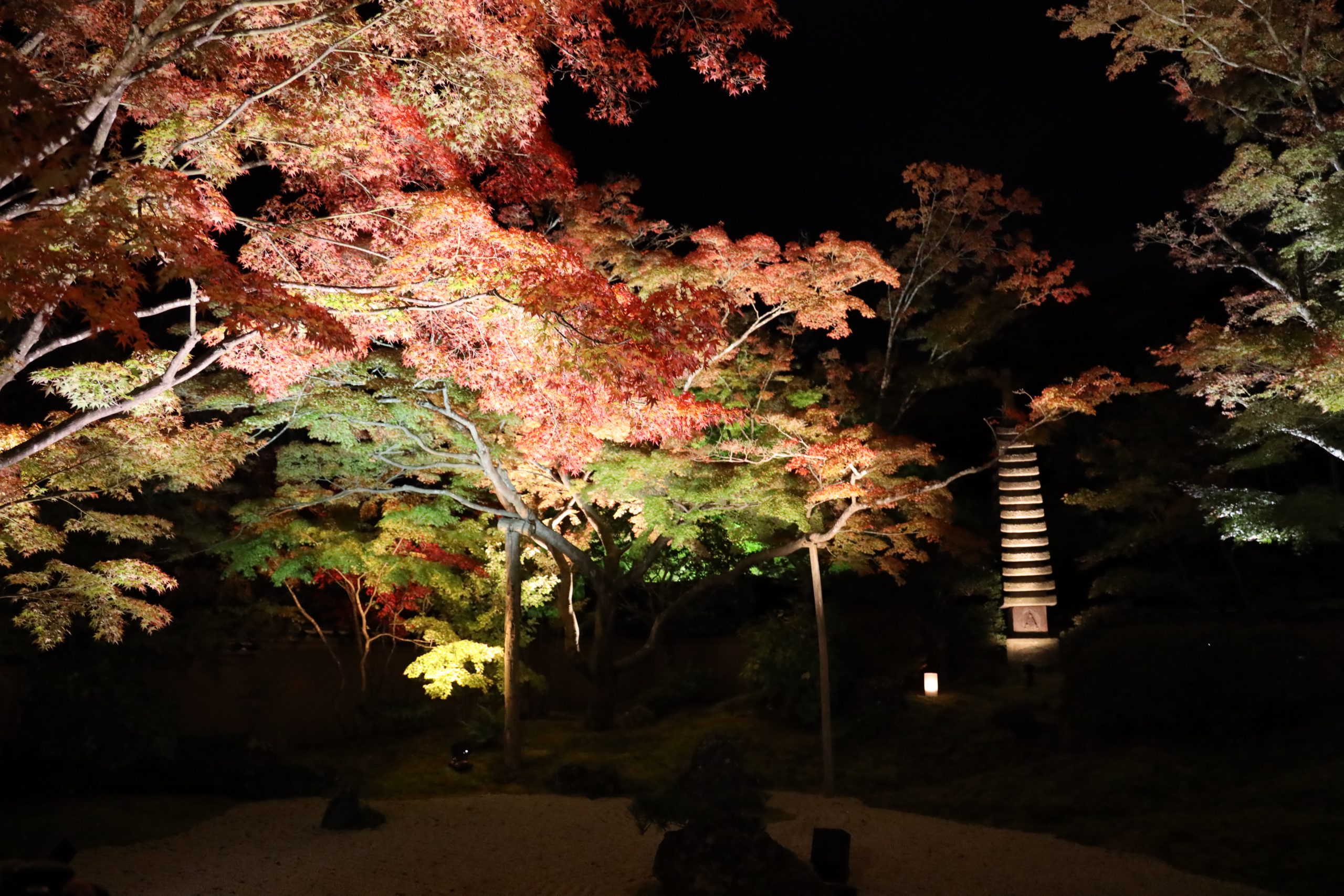 森重旅館の宿泊予約｜格安・最安値【トラベルコ】