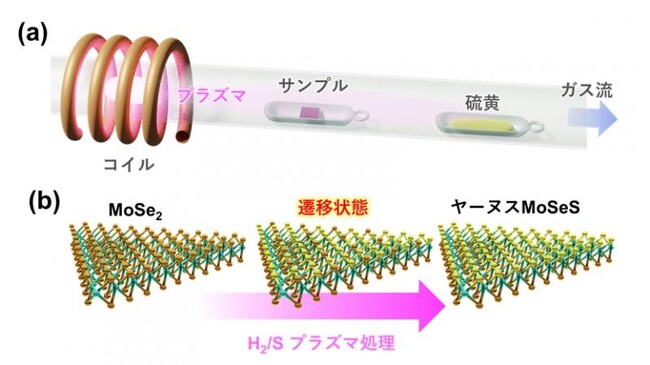 【研究紹介】地域の食品に隠された乳酸菌の謎を解明せよ！　～後発酵茶と乳酸菌～（産総研四国センター公式）