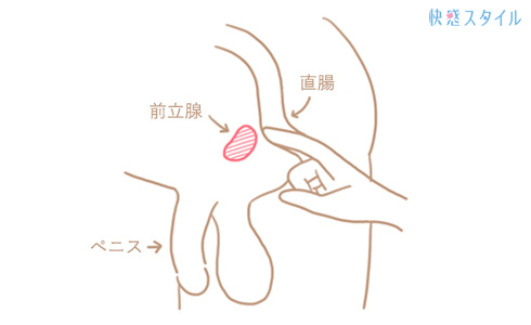 コックリングWAD RAY】会陰振動でドライオーガズム |