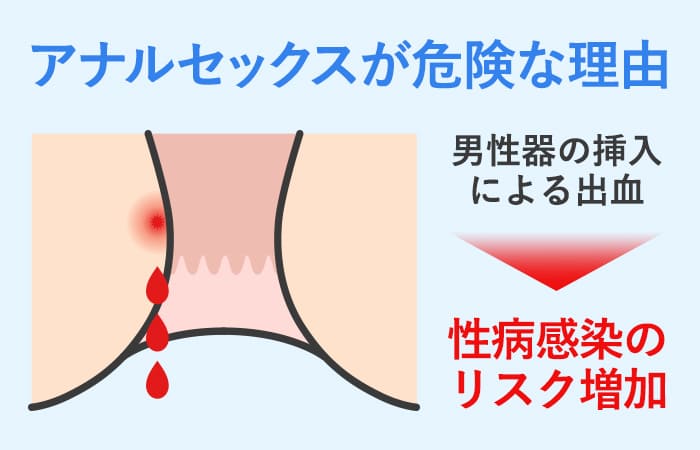 S状 結 腸 膀 胱