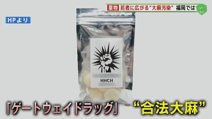 穴という穴から垂れ流し沢尻エリカが使用した薬物の上をいく”最も危険なドラッグ”とは？：じっくり聞いタロウ |  テレ東・ＢＳテレ東の読んで見て感じるメディア テレ東プラス