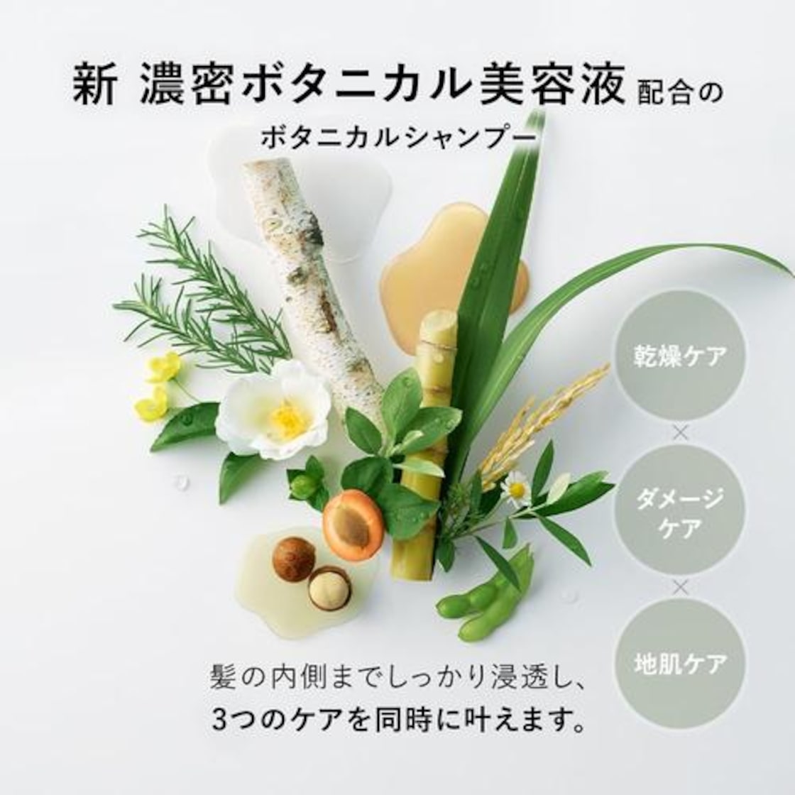 京都（祇園）のソープおすすめ人気ランキング７選【2024年版】 | 風俗グルイ