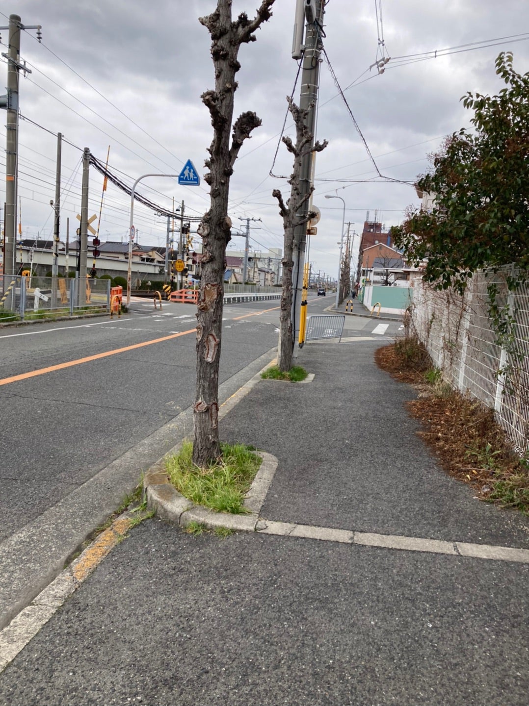 大阪 信太山新地 / ぎんねこ