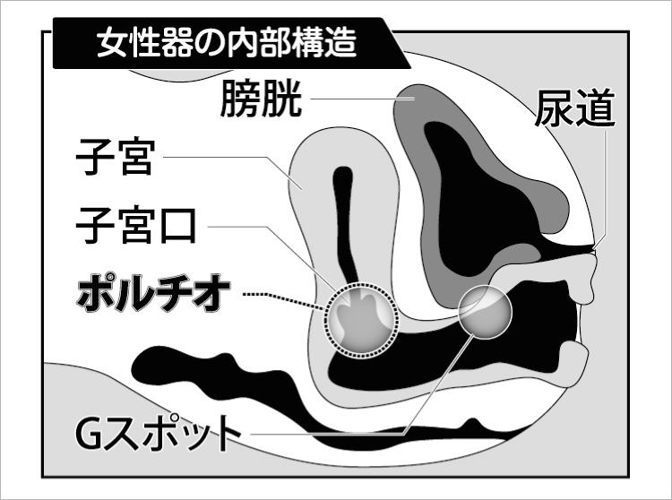 ポルチオでイカせるにはどうしたら良いのか検証してみた