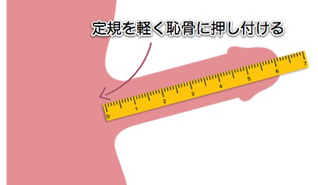 おちんこ偏差値 - スマホを使って、おちんこのサイズと偏差値を簡単に計測！