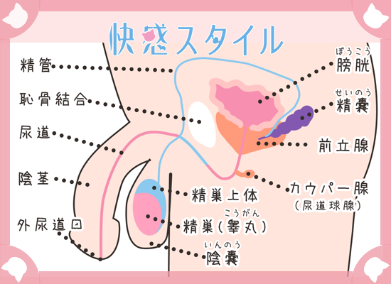 彼女のアナルを楽しみたい人集合！彼女にアナルセックスを許してもらう方法を伝授｜駅ちか！風俗雑記帳