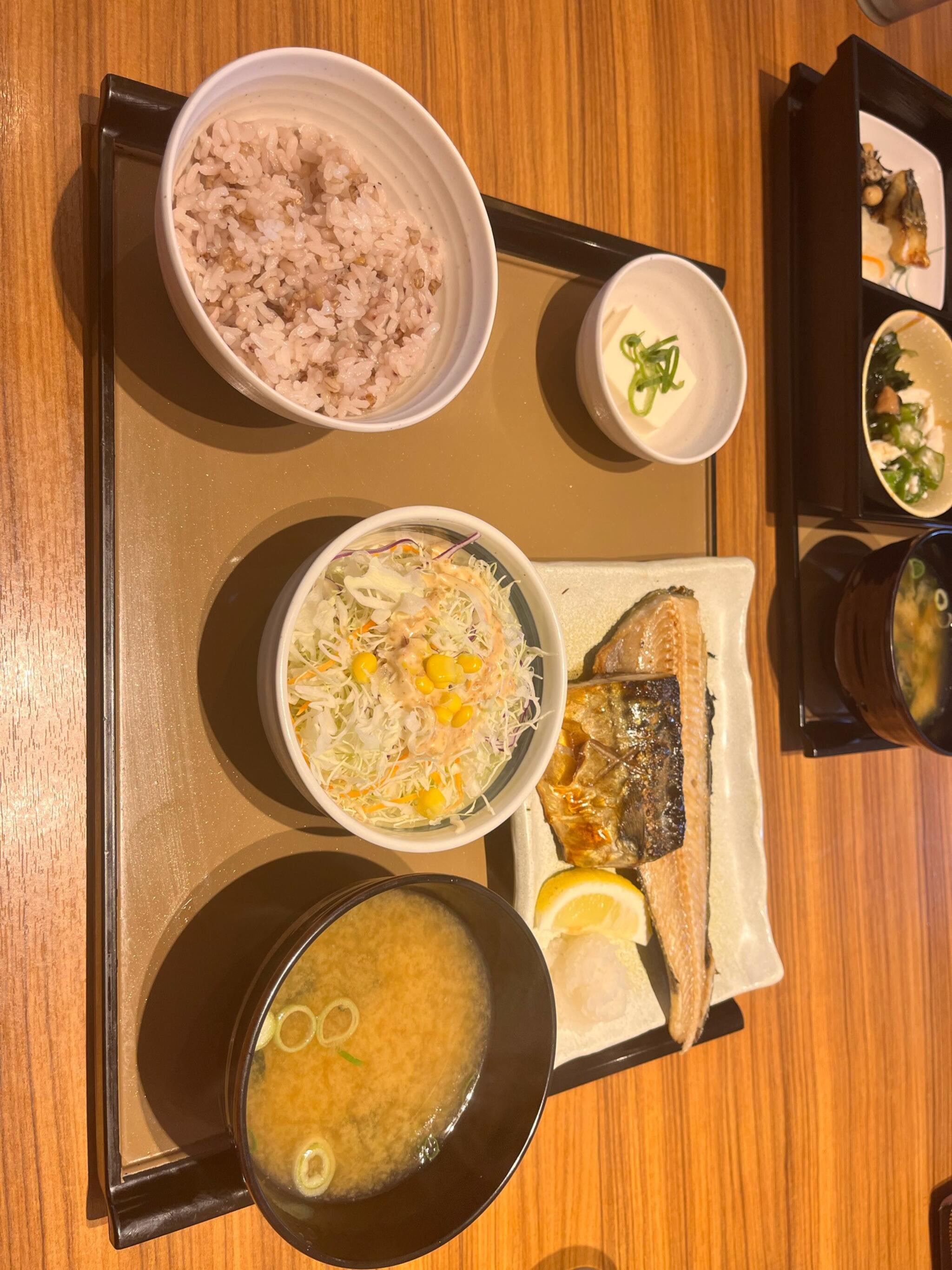 料理メニュー一覧：やよい軒 高木瀬店(佐賀県佐賀市高木瀬町大字長瀬/定食屋) -