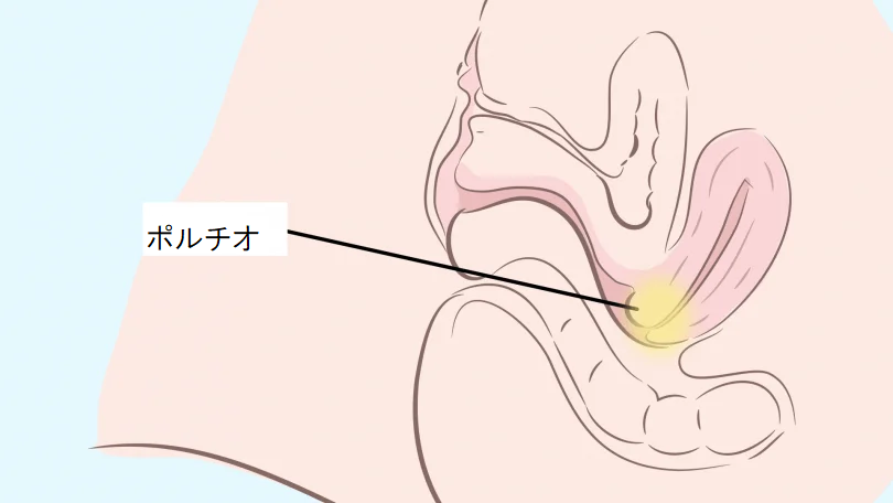 対面座位のやり方を画像で解説 | 実は深い挿入ができて中イキしやすい？ ｜