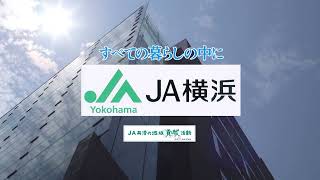 JA横浜「ハマッ子」直売所メルカートかながわ店 - 横浜市神奈川区神大寺 |