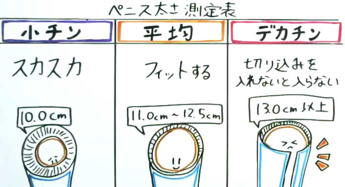 【専門医が徹底解説】ペニスの測定方法から長くする方法まで教えます！